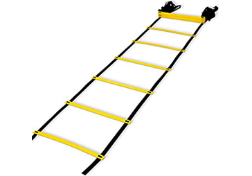 aligity ladder regular